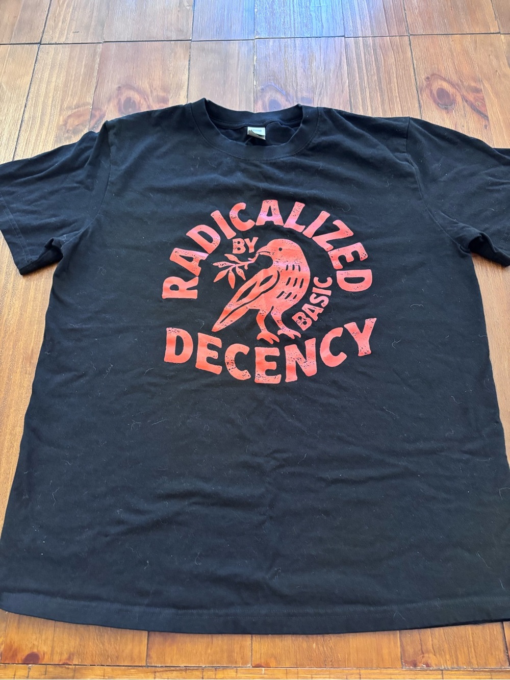 Radicalized by Decency Black Graphic Tee with Red Print